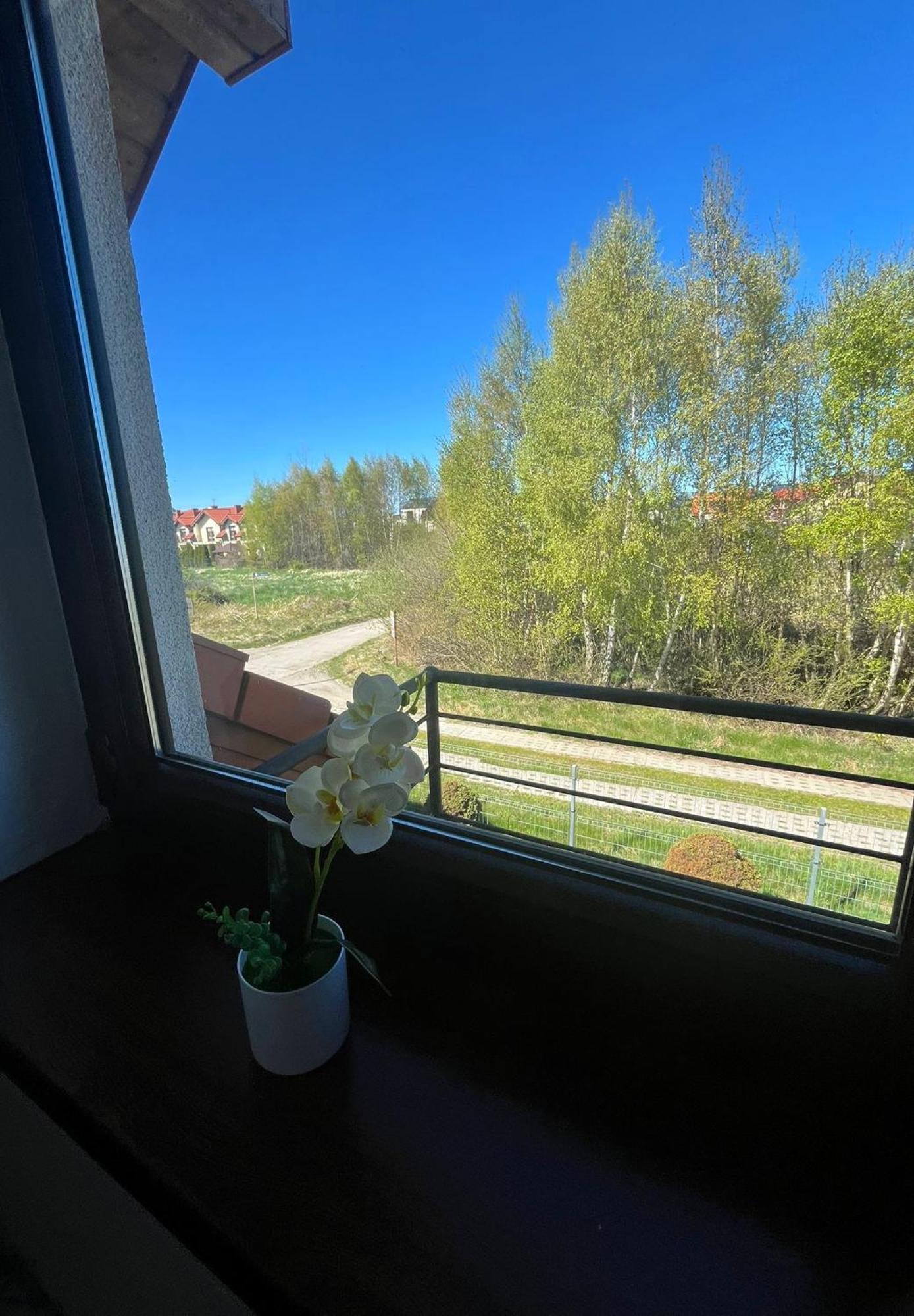 Apartamenty Adrenja Rowy  Kültér fotó